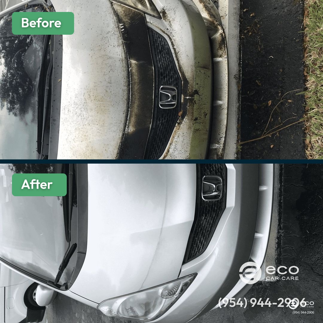 Eco Car Care | Car Wash & Detailing | Auto Detailing Fort Lauderdale in Pembroke Pines, FL (4)