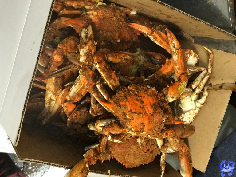 Vince's Crabhouse of Manchester in Manchester, MD (3)