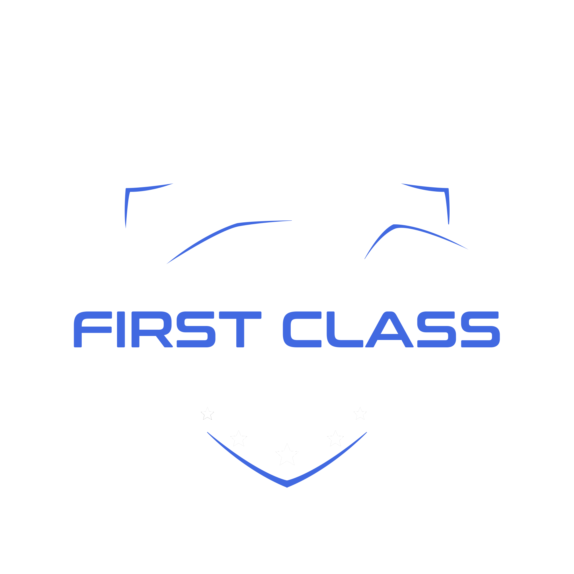 First Class Detail Pros in Dickinson, TX (4)