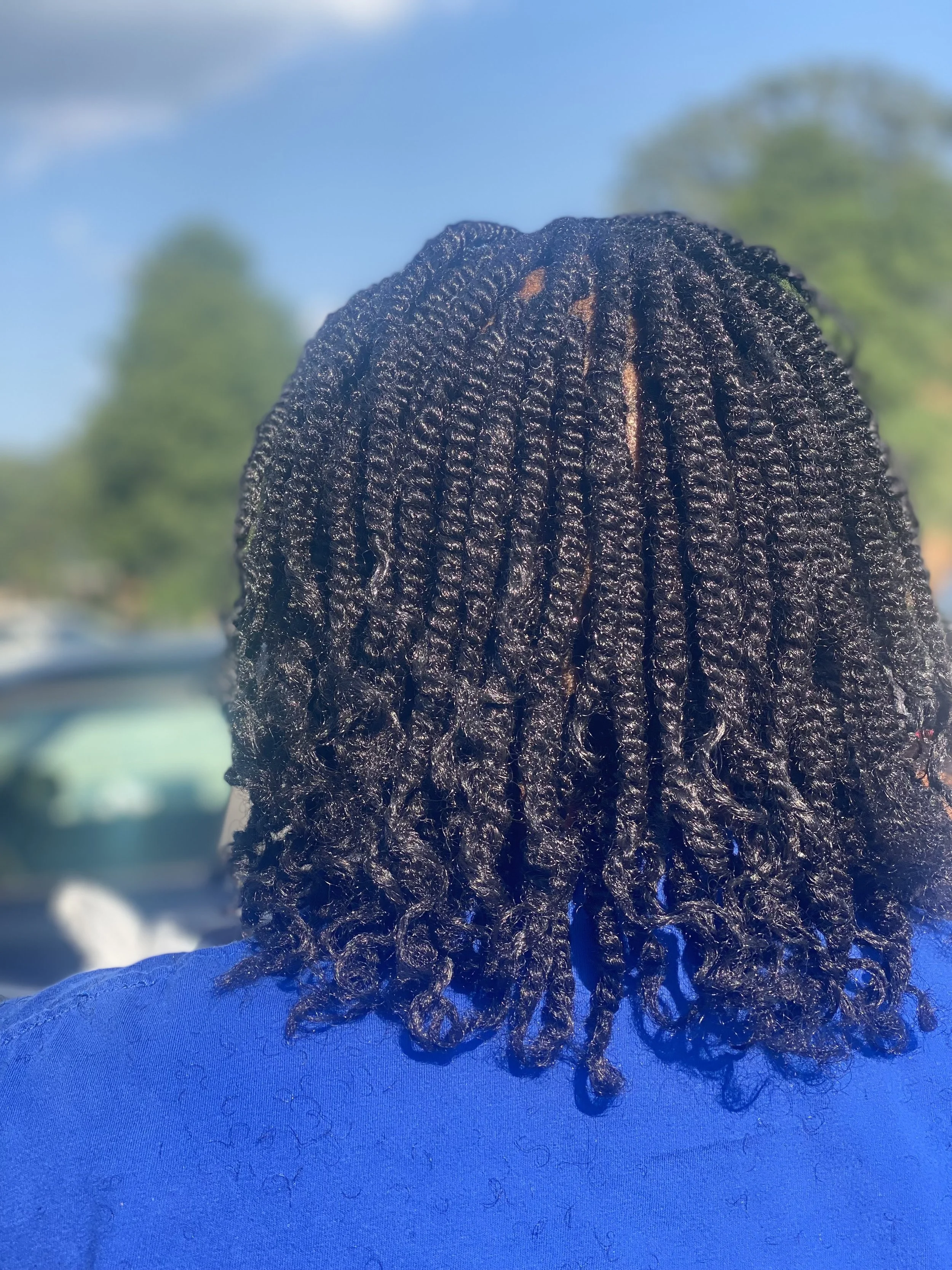 Braids by AJ in Lynchburg, VA (3)
