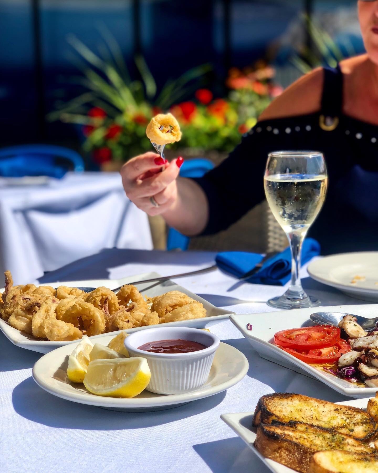 Naxos A Greek Island Restaurant in Itasca, IL (2)