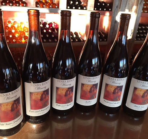 Tenba Ridge Winery in Blair, WI (3)