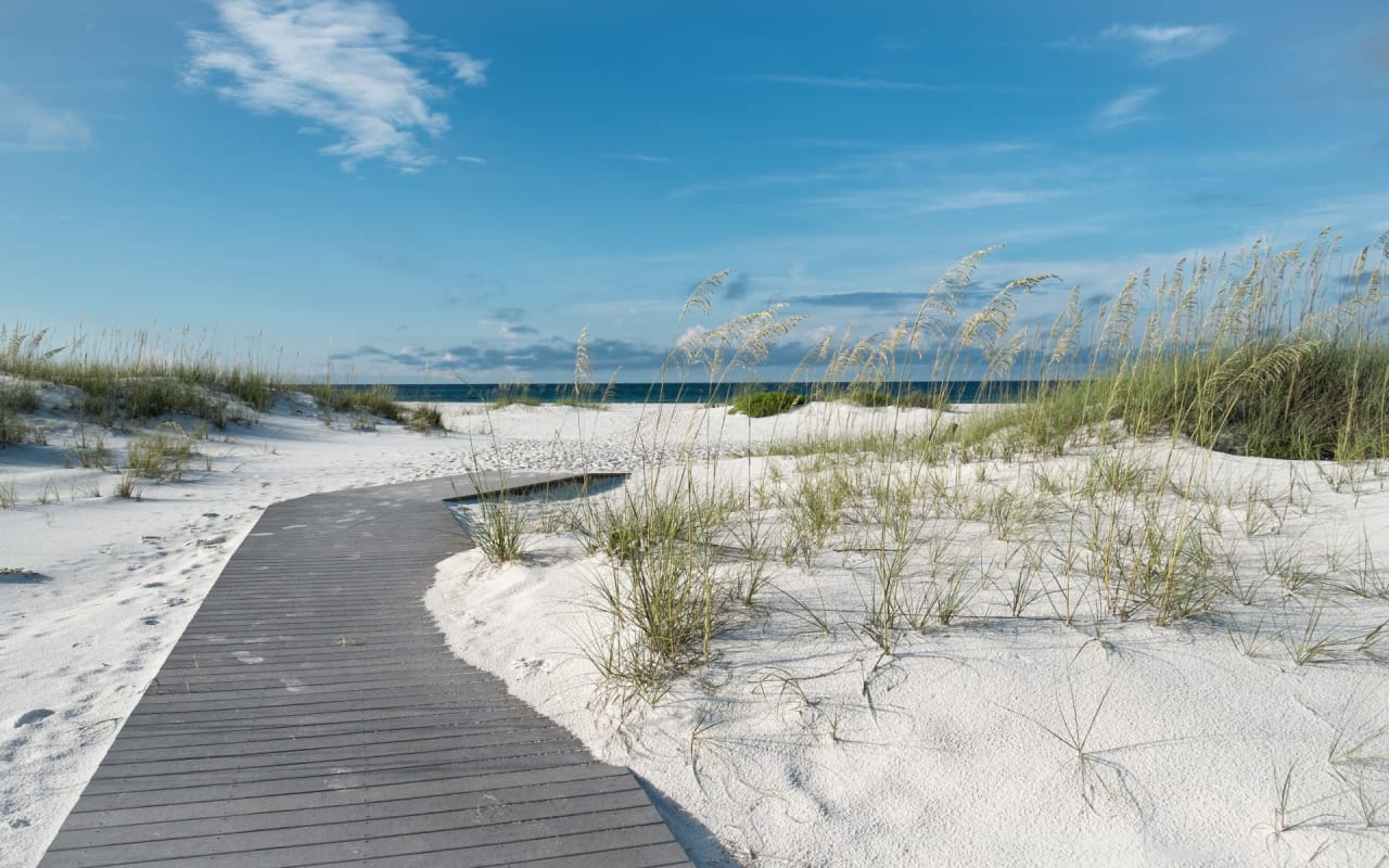 Walter Group Real Estate - Longboat Key Realtors in Longboat Key, FL (5)