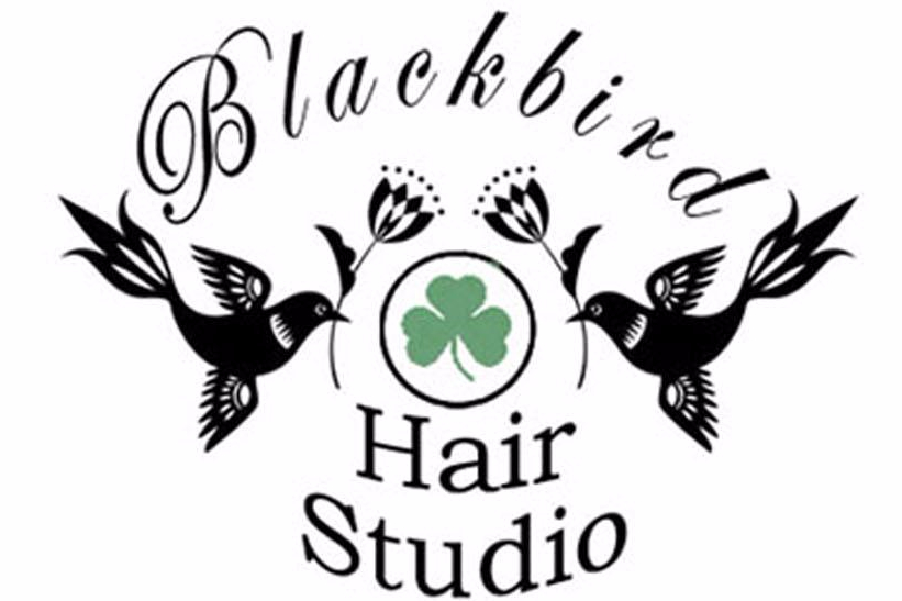 Blackbird Hair Studio in Tyrone, GA (2)