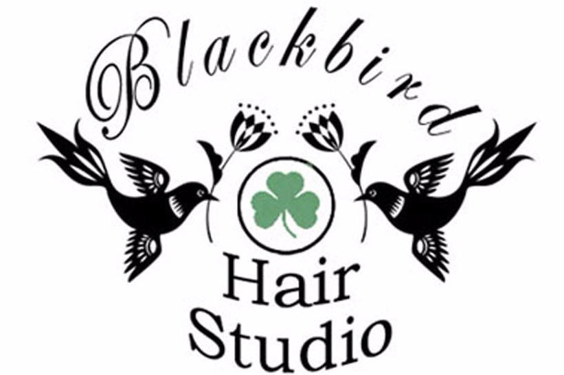 Blackbird Hair Studio in Tyrone, GA (3)