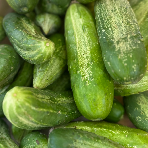 Elgin Farmers' Market in Elgin, TX