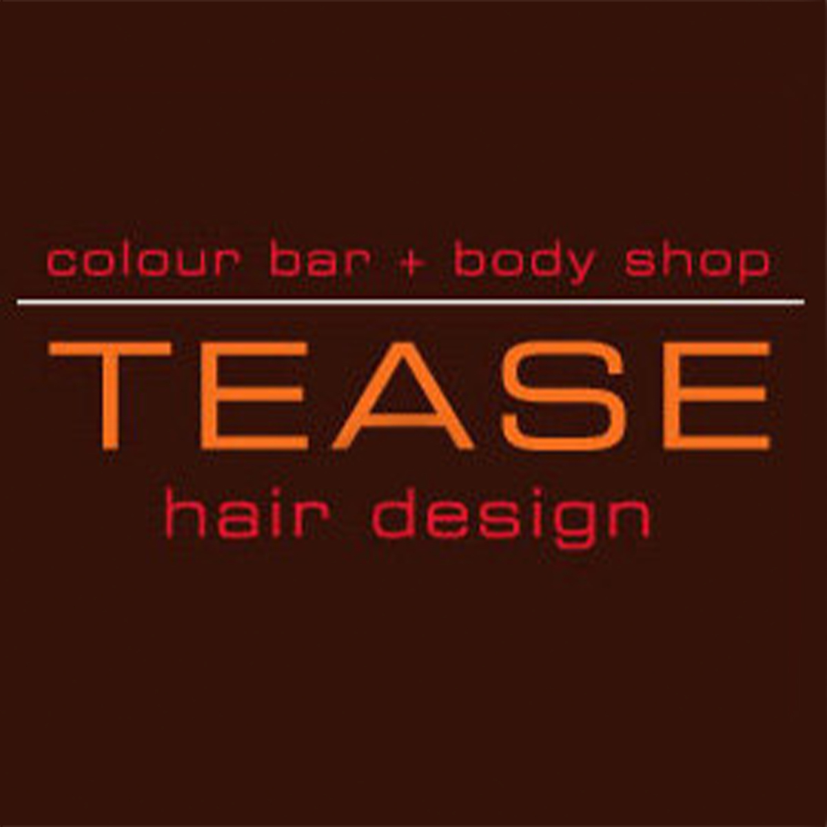 Tease Hair Salon in Staunton, VA (3)