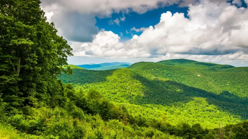 Matthew S. Akers, Real Estate Lawyer in Strasburg, VA (3)