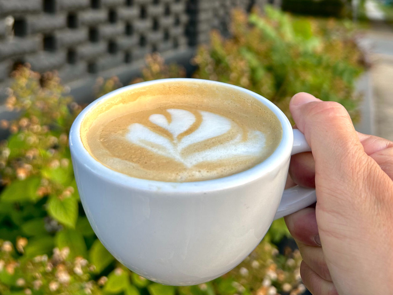 Creation Cafe - Coffee and Bakery in Danville, IN (2)