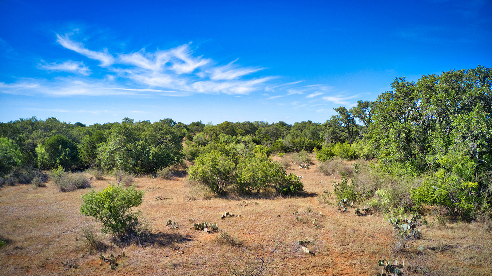 Ryan Jordan Real Estate in Mason, TX
