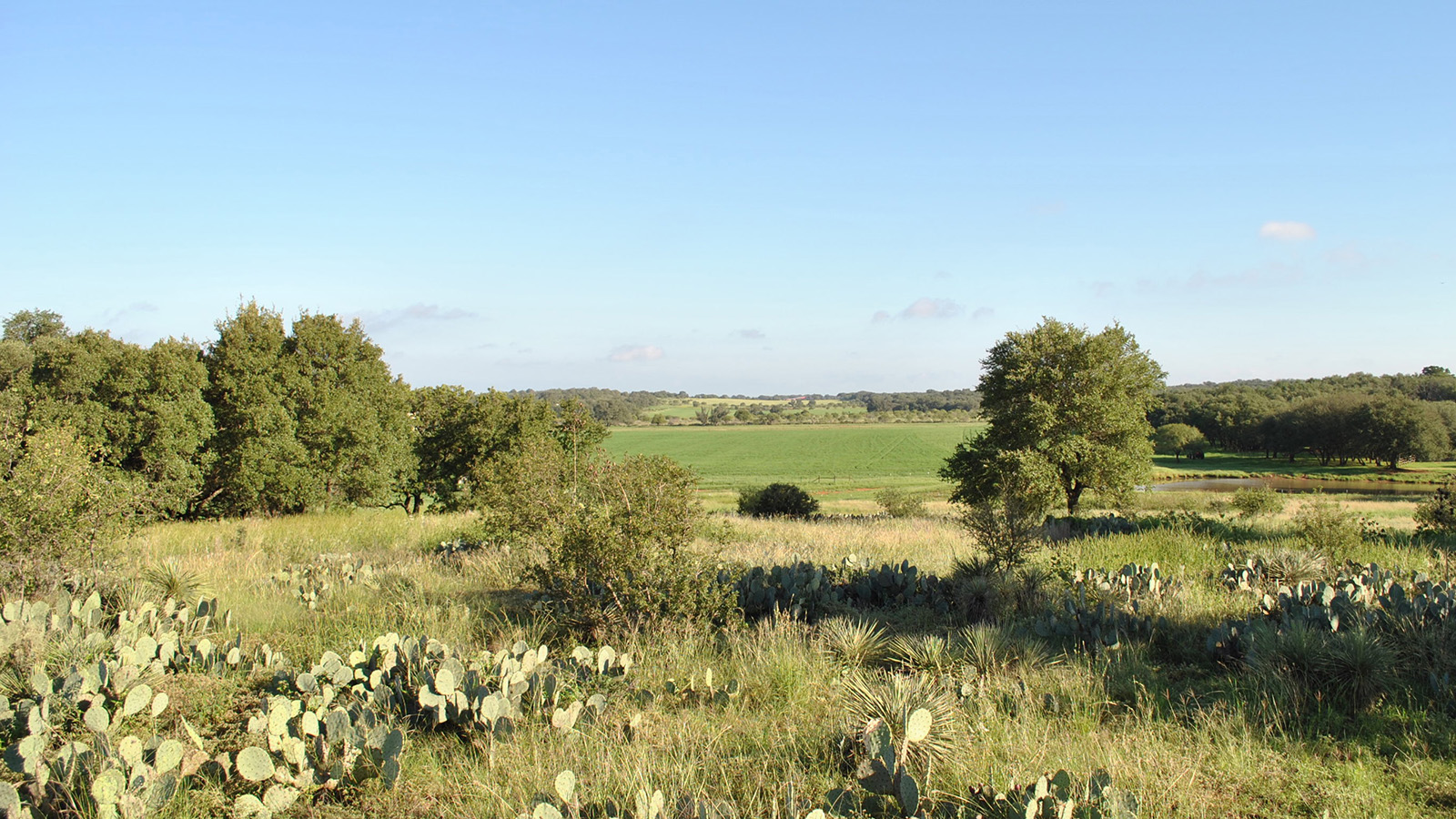Ryan Jordan Real Estate in Mason, TX (6)