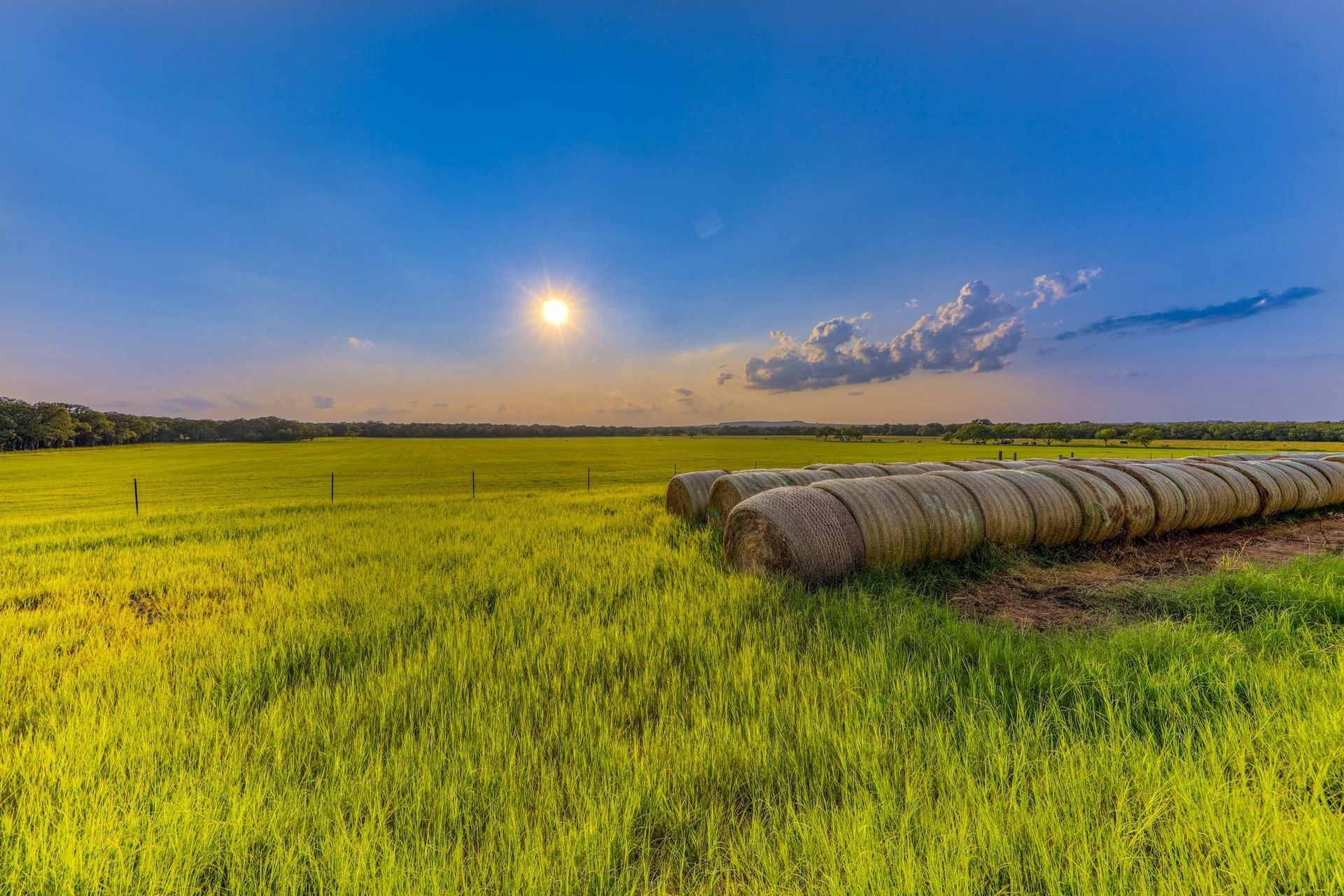The Platinum Group Real Estate in Weatherford, TX (3)