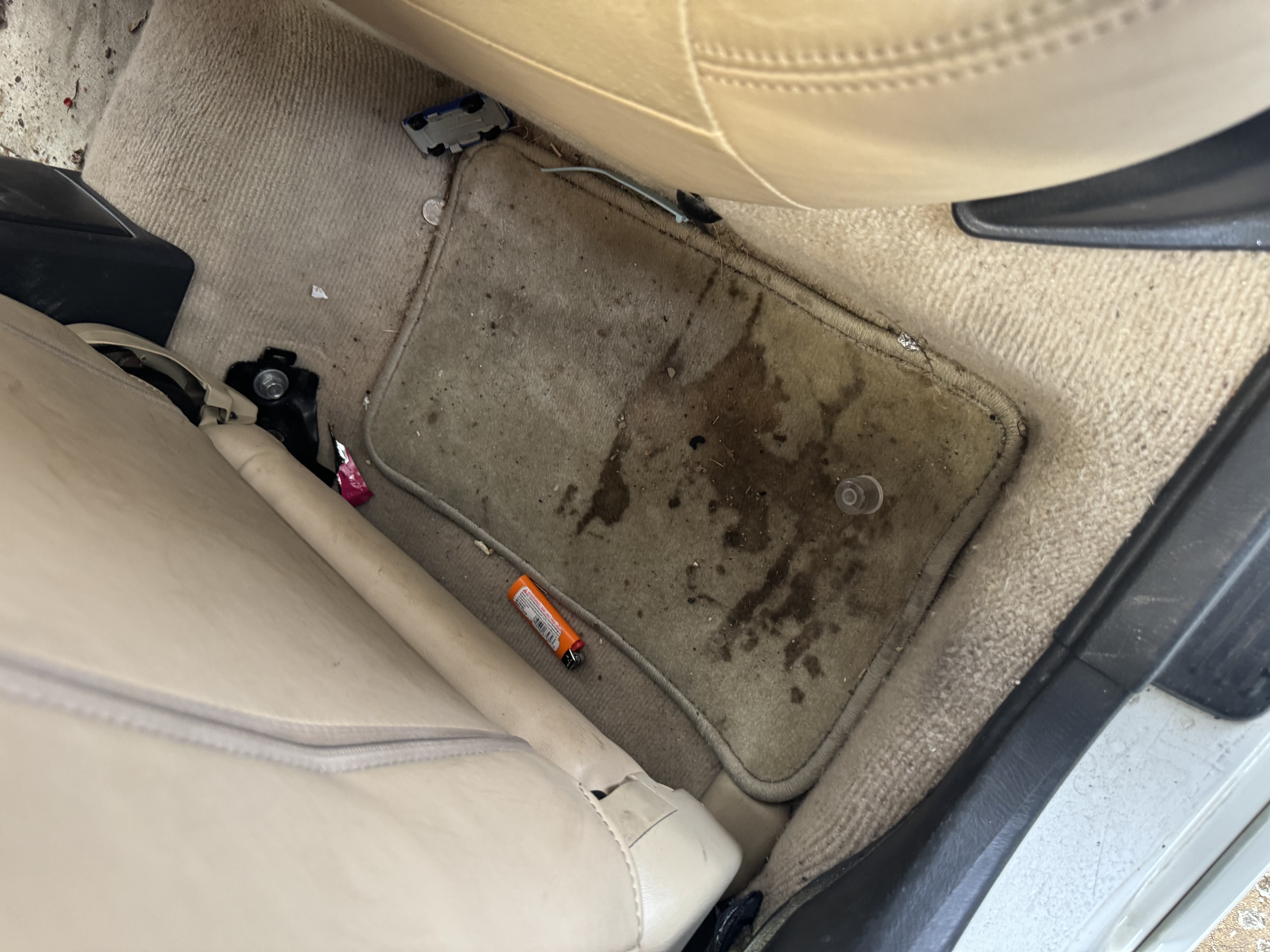 Bay View Detailing in Milwaukee, WI (3)