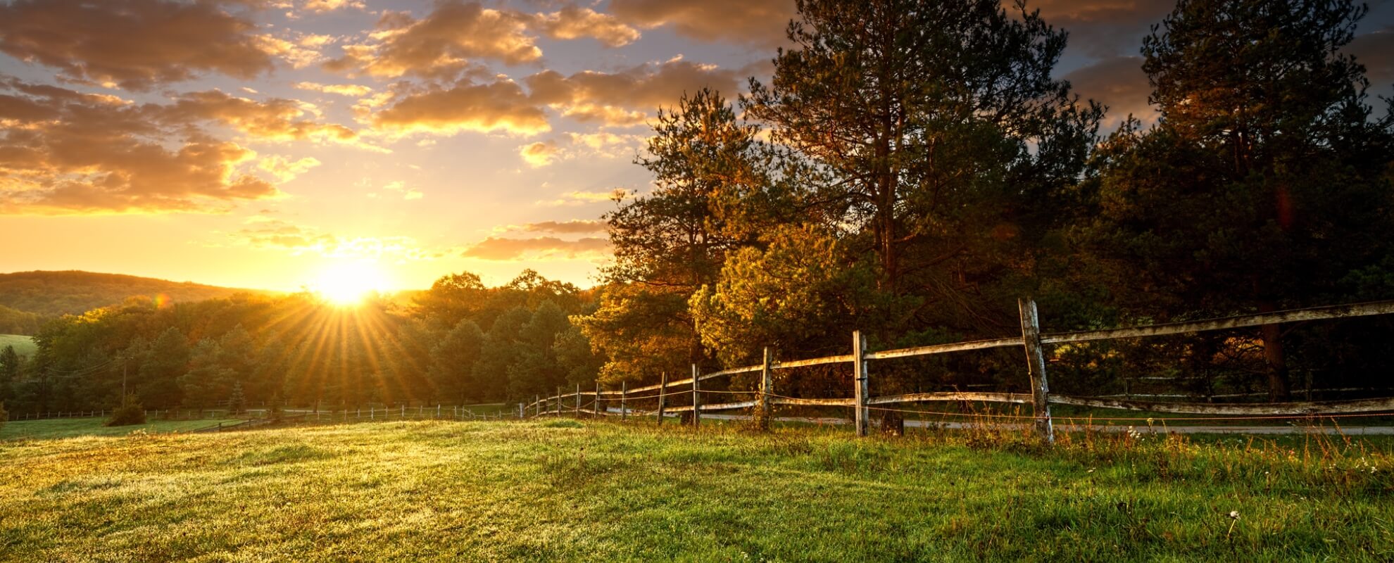 Dena Lynn Sosebee Southern Flair Realty, Inc. in Loganville, GA (3)