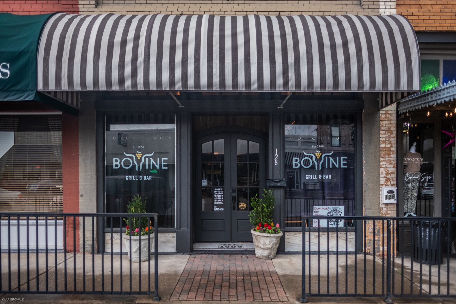BOVINE in Midlothian, TX