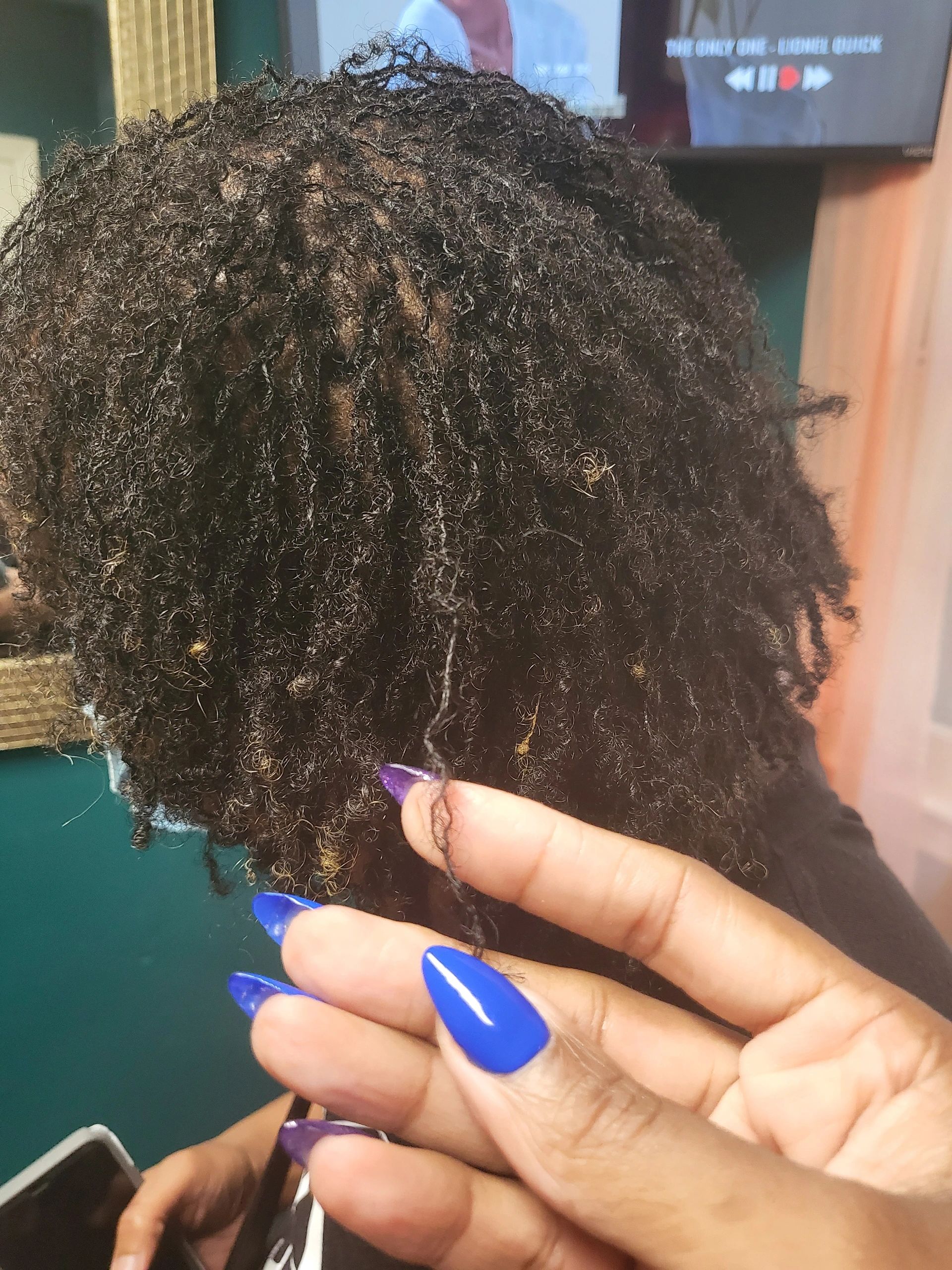 Sapphire Loc & Twist Studio in Charlotte, NC (3)