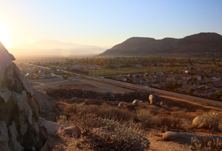 Realtor Renee Stallone in Redlands, CA (3)