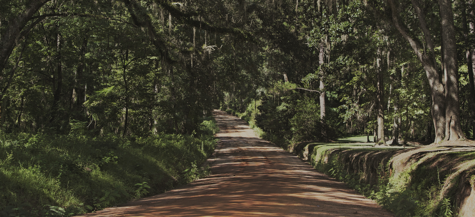 Lanigan & Associates in Thomasville, GA (4)