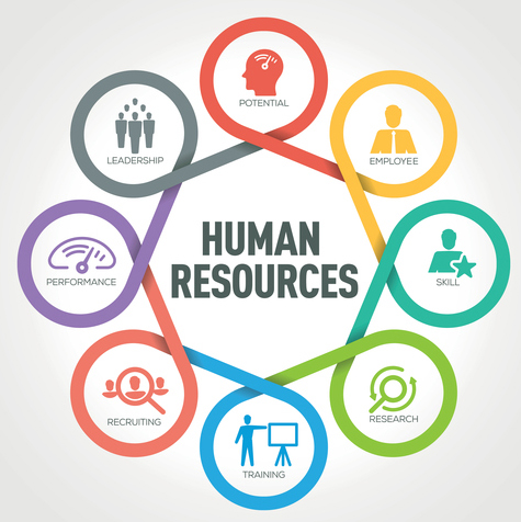 Sunshine Business Consultants LLC in Clearwater, FL (2)