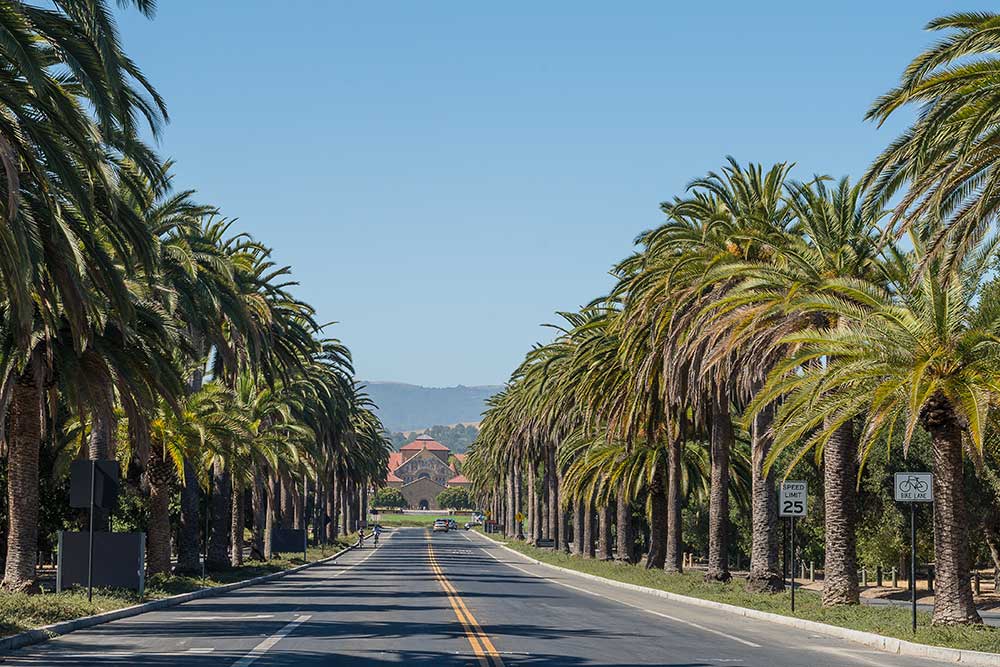 Laura Bertolacci, Broker - Christie's International Real Estate Sereno in San Carlos, CA (5)