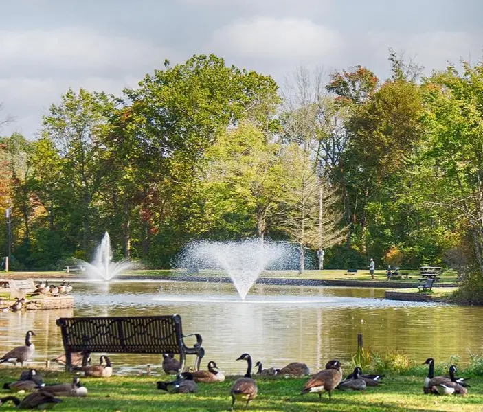 Justin Heath, Team Leader | Realtor - REAL of Pennylvania in Ambler, PA