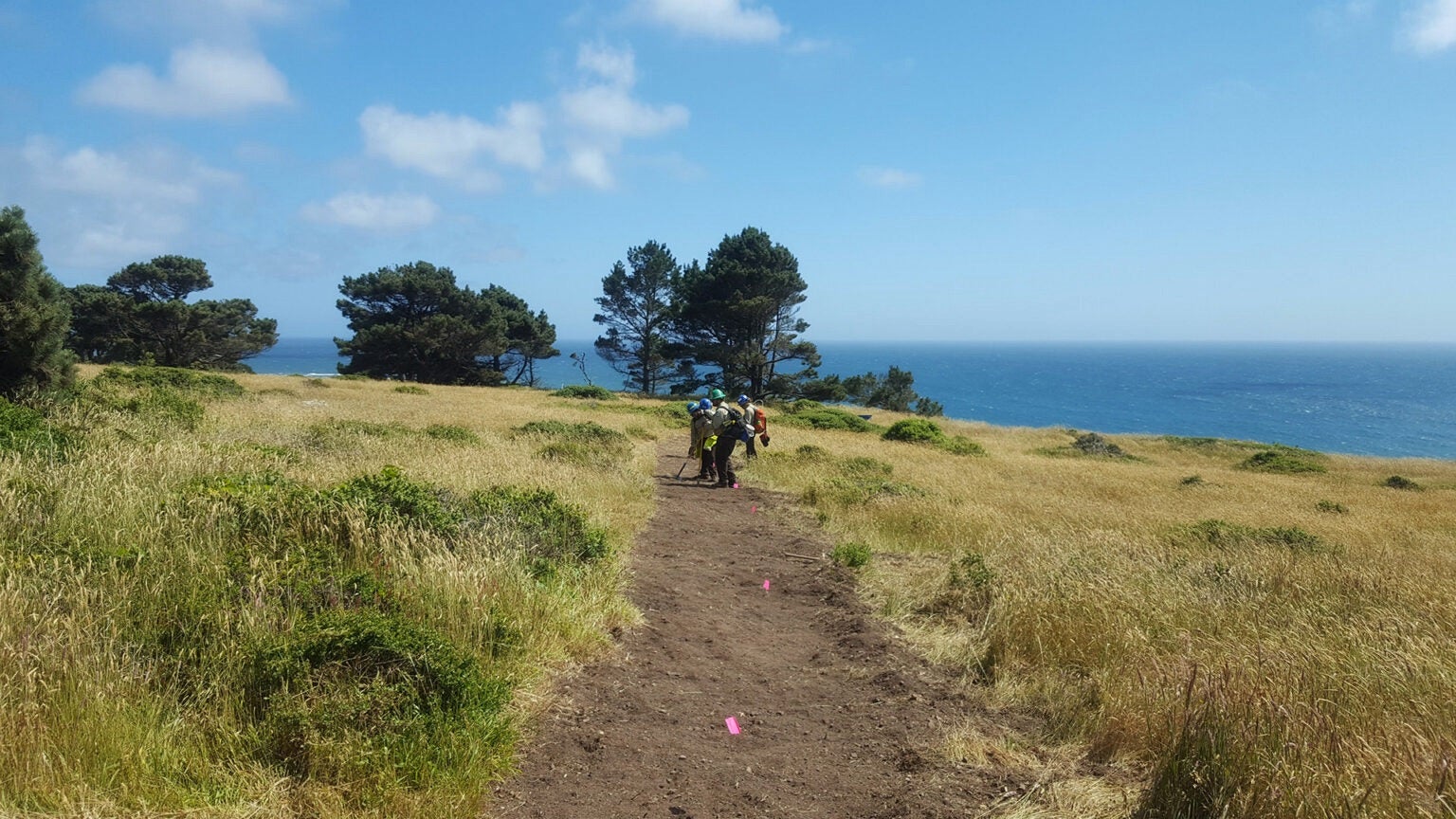 Pelican Bluffs in Point Arena, CA (2)