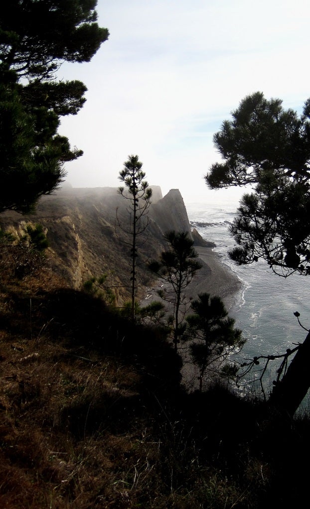 Pelican Bluffs in Point Arena, CA (5)