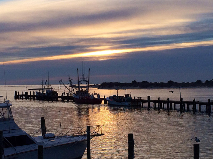 The Shark on the Harbor Restaurant in Ocean City, MD