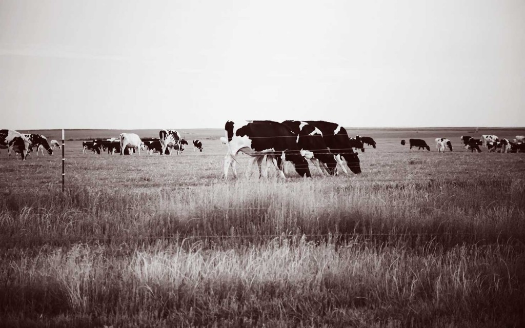 Front Gate Property Solutions in Dalhart, TX (3)