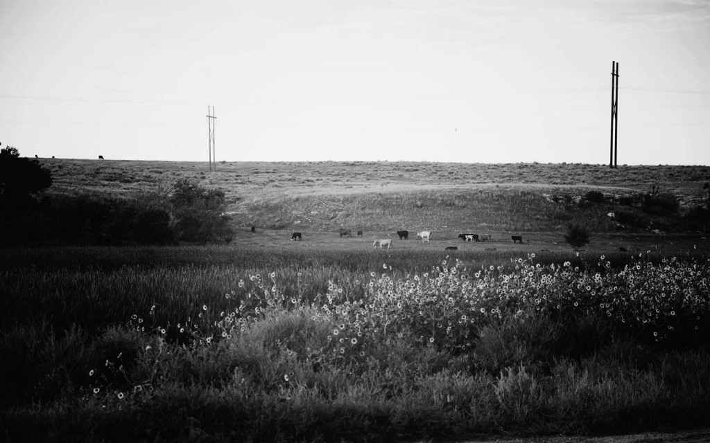 Front Gate Property Solutions in Dalhart, TX (5)