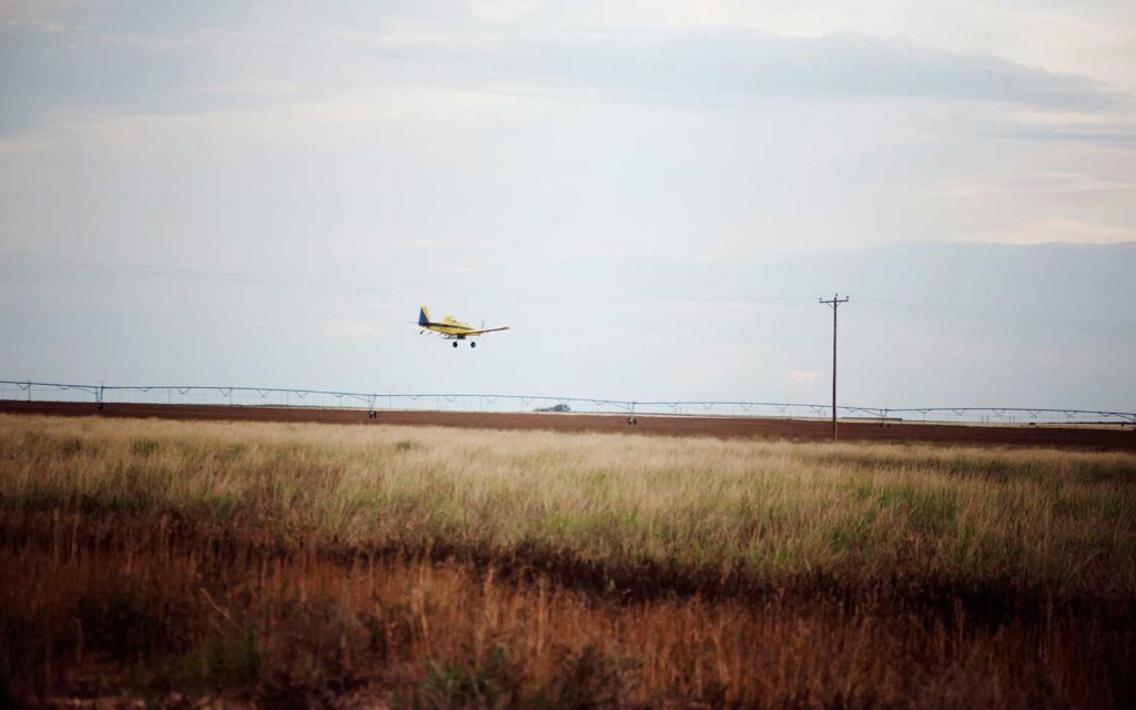 Front Gate Property Solutions in Dalhart, TX (6)