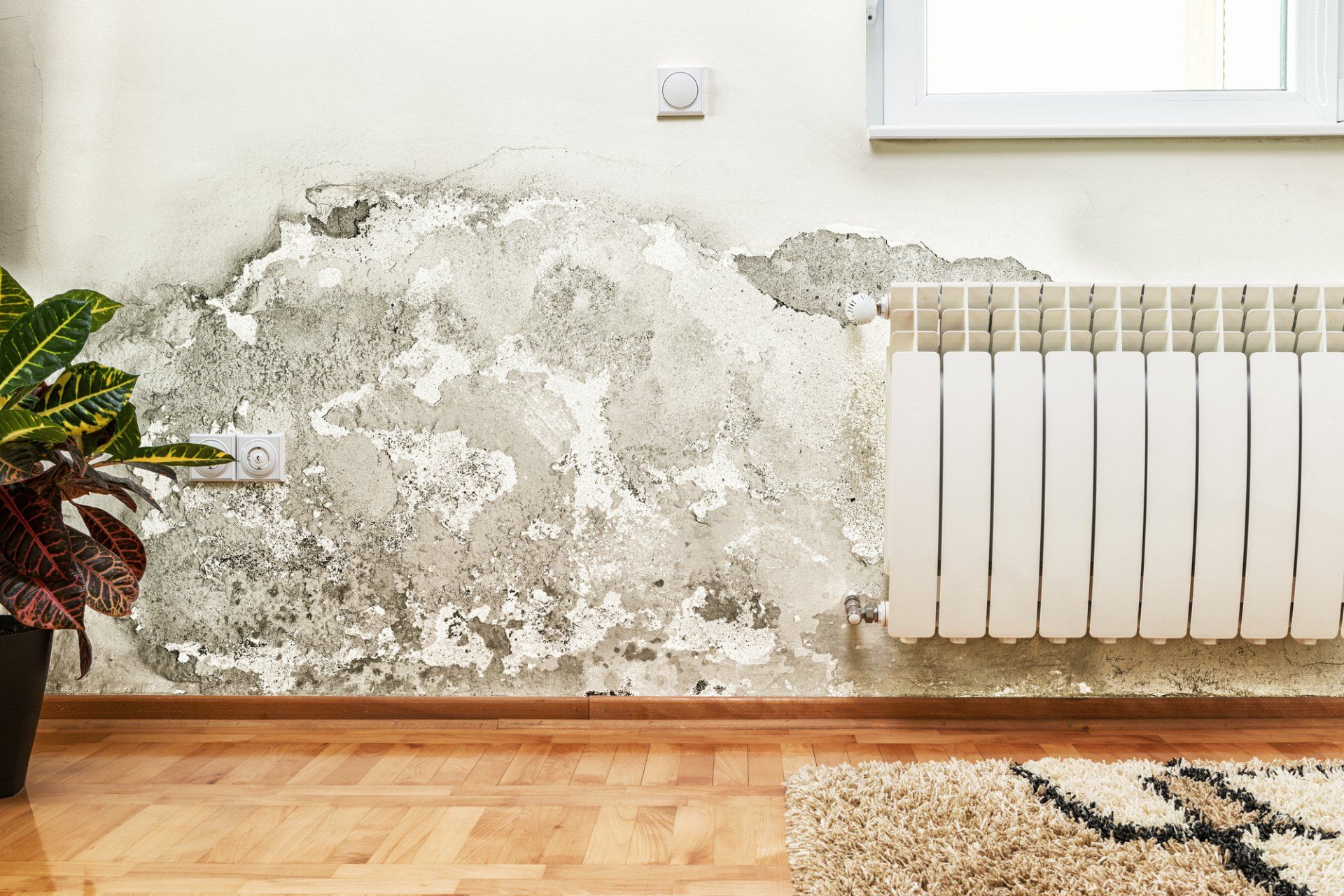 Environmental Xtreme Sanitizing LLC in Windsor Mill, MD (2)