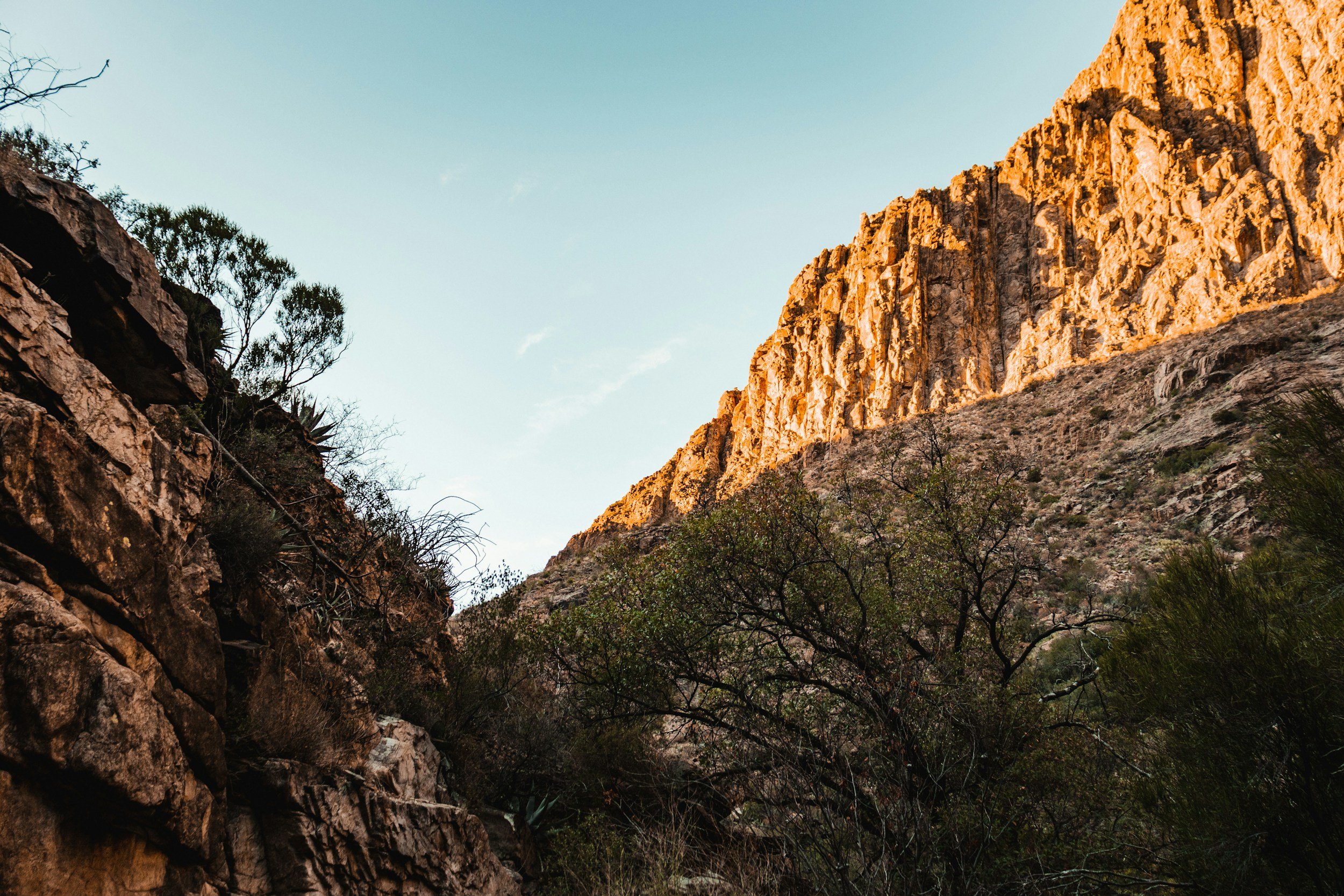 Far West Texas Regional Public Defender in Alpine, TX