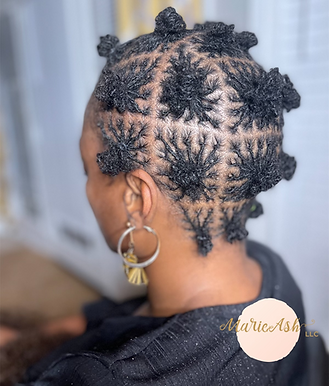 Marie Ash Natural Hair Salon in Charlotte, NC (5)
