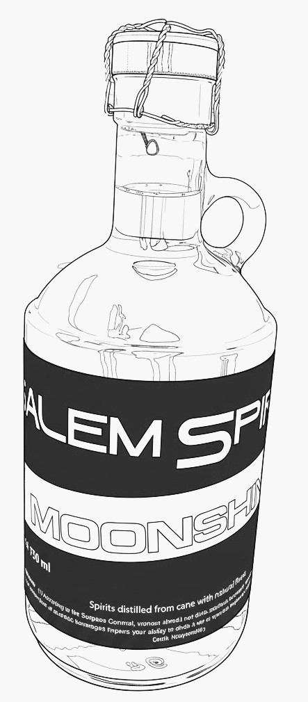 Salem Spirits Moonshine in Greensburg, PA (6)