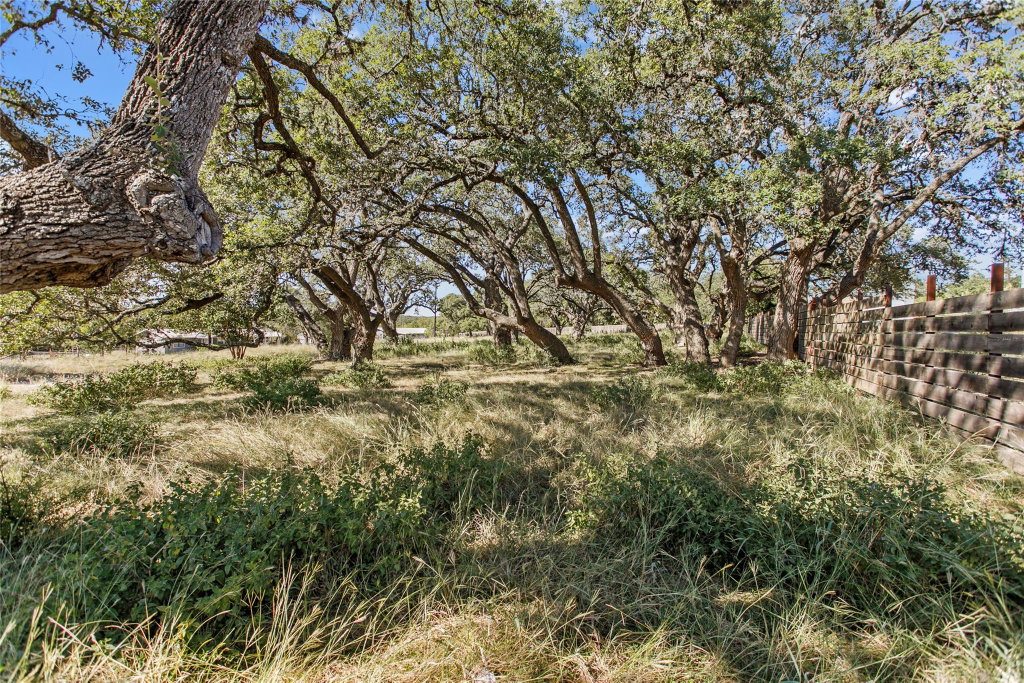 Magnolia Realty Austin | Hill Country in Dripping Springs, TX (3)