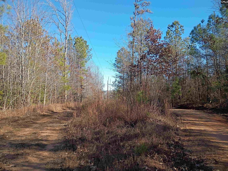 palmetto elite realty in Camden, SC
