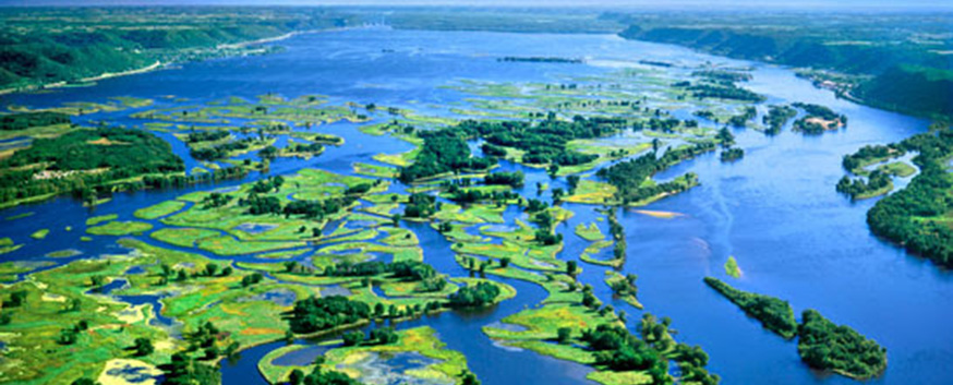 Collins & Associates CPA in La Crosse, WI (2)