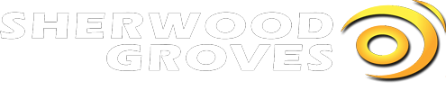 Sherwood Groves Auto Group in Towanda, PA (4)