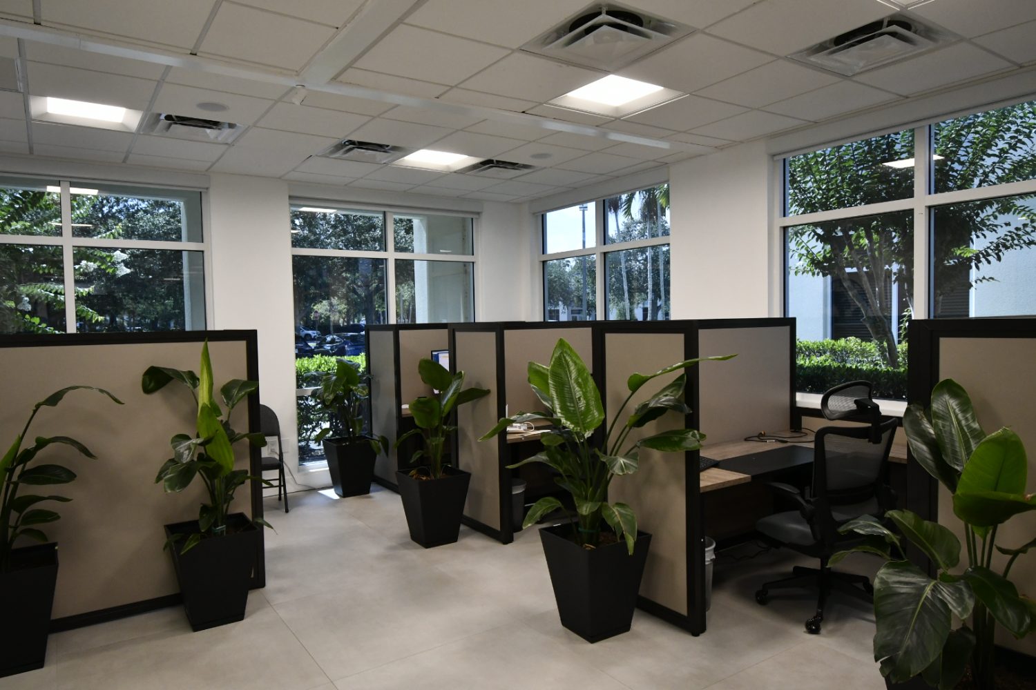 Dedicated CPA in Plantation, FL (3)