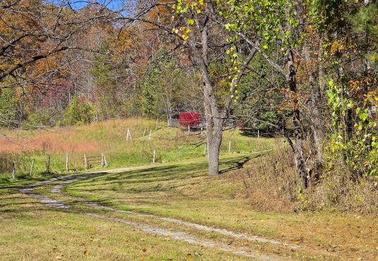 Southland Realty in Robbinsville, NC