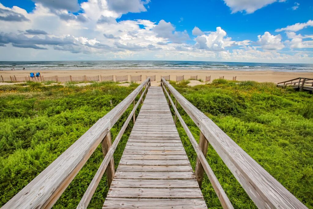 Corona Del Mar Beach Properties in Leming, TX (3)