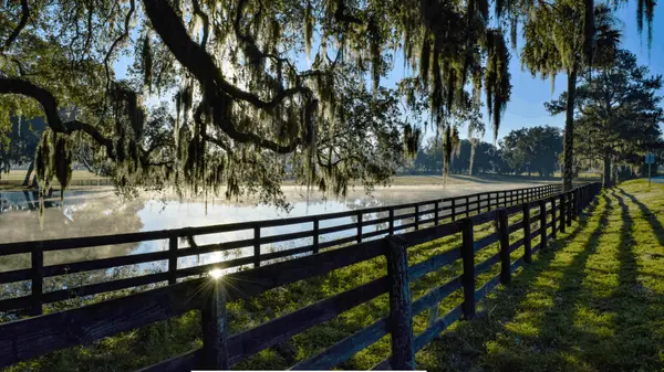 Sabrina Salt Realtor - Real Broker, LLC. in Ocala, FL (4)
