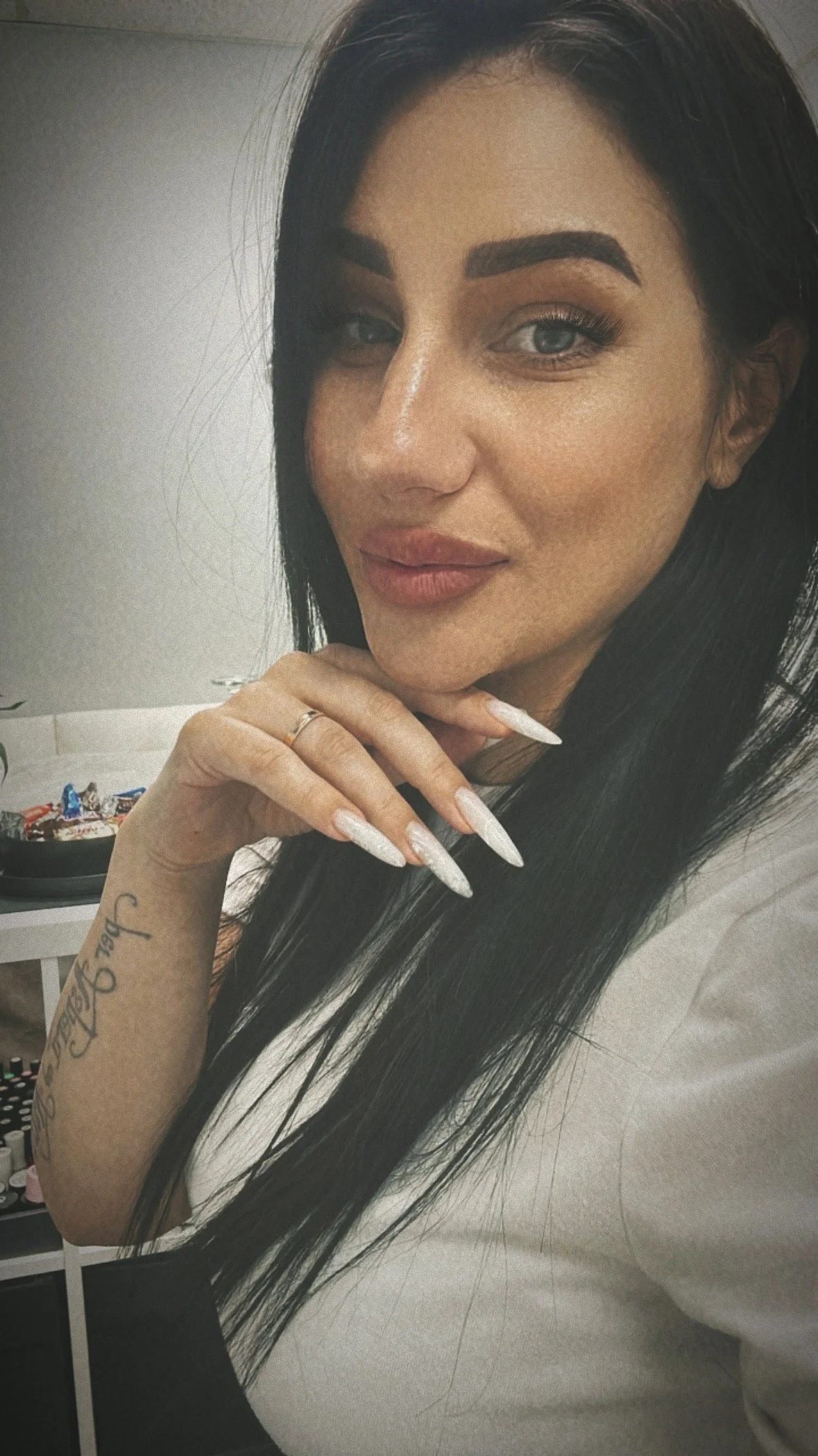 Aninails in Palm Harbor, FL