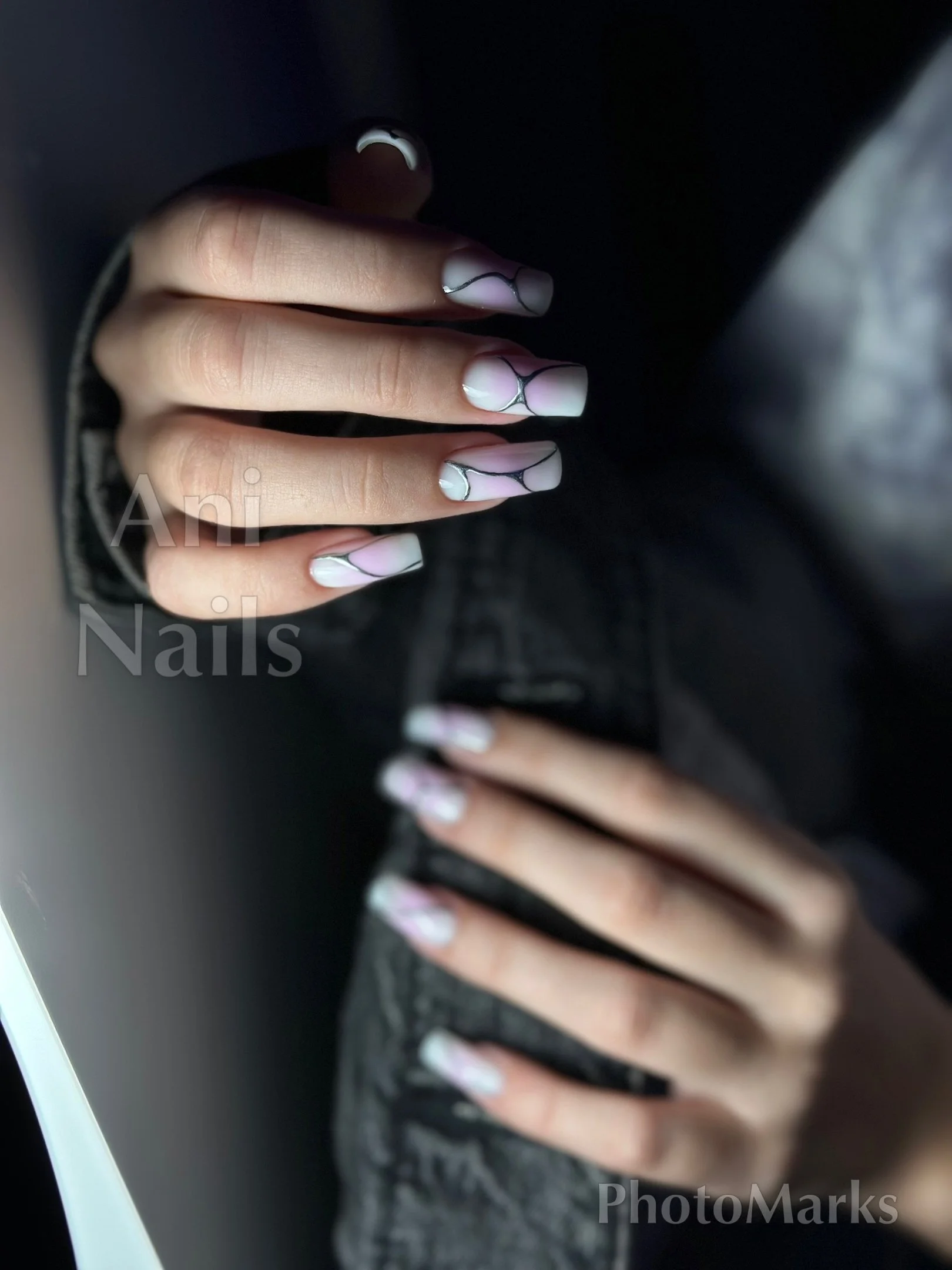 Aninails in Palm Harbor, FL (2)