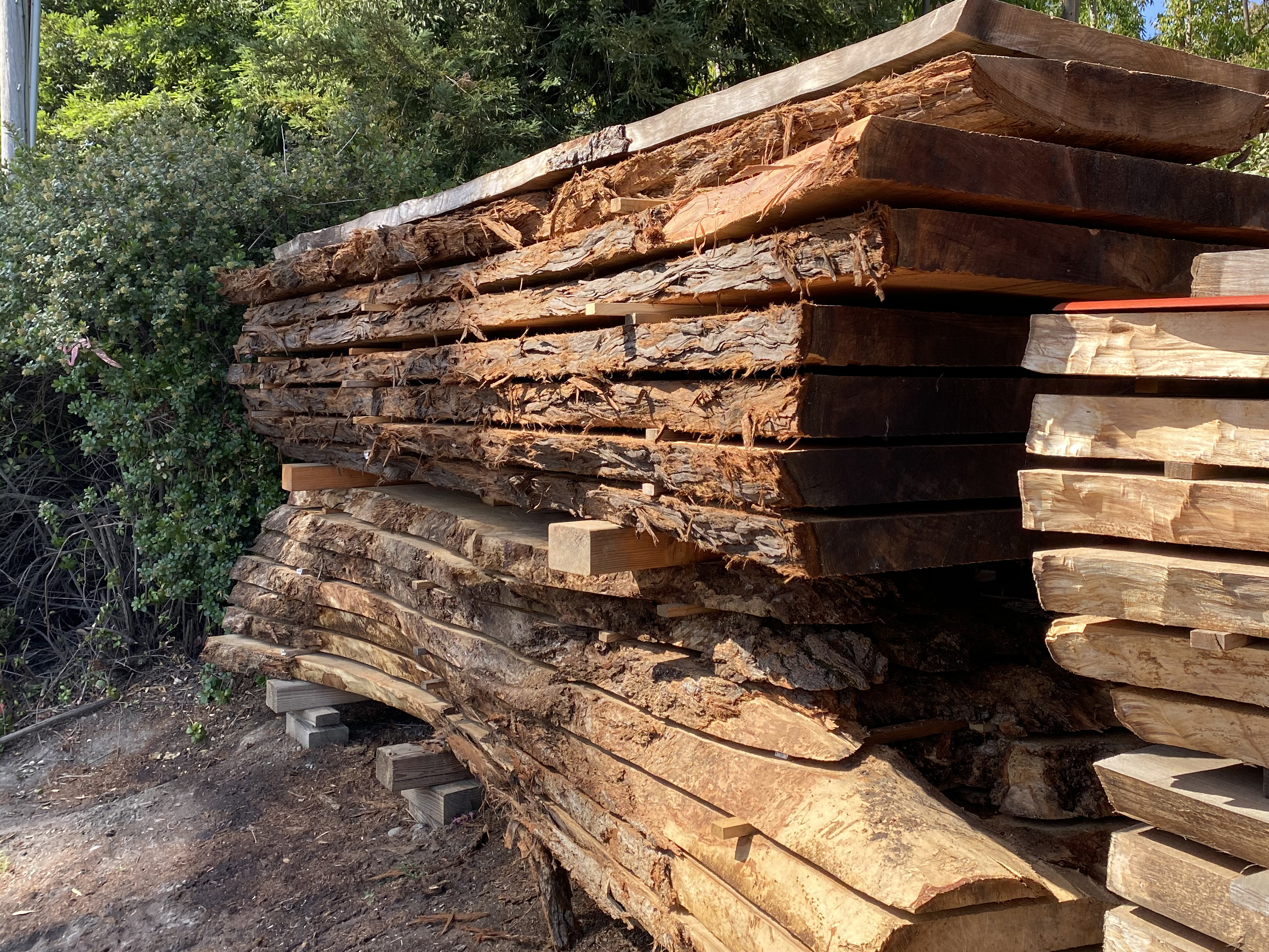 Eric Christopher Art - Live Edge Wood Slabs in Sebastopol, CA