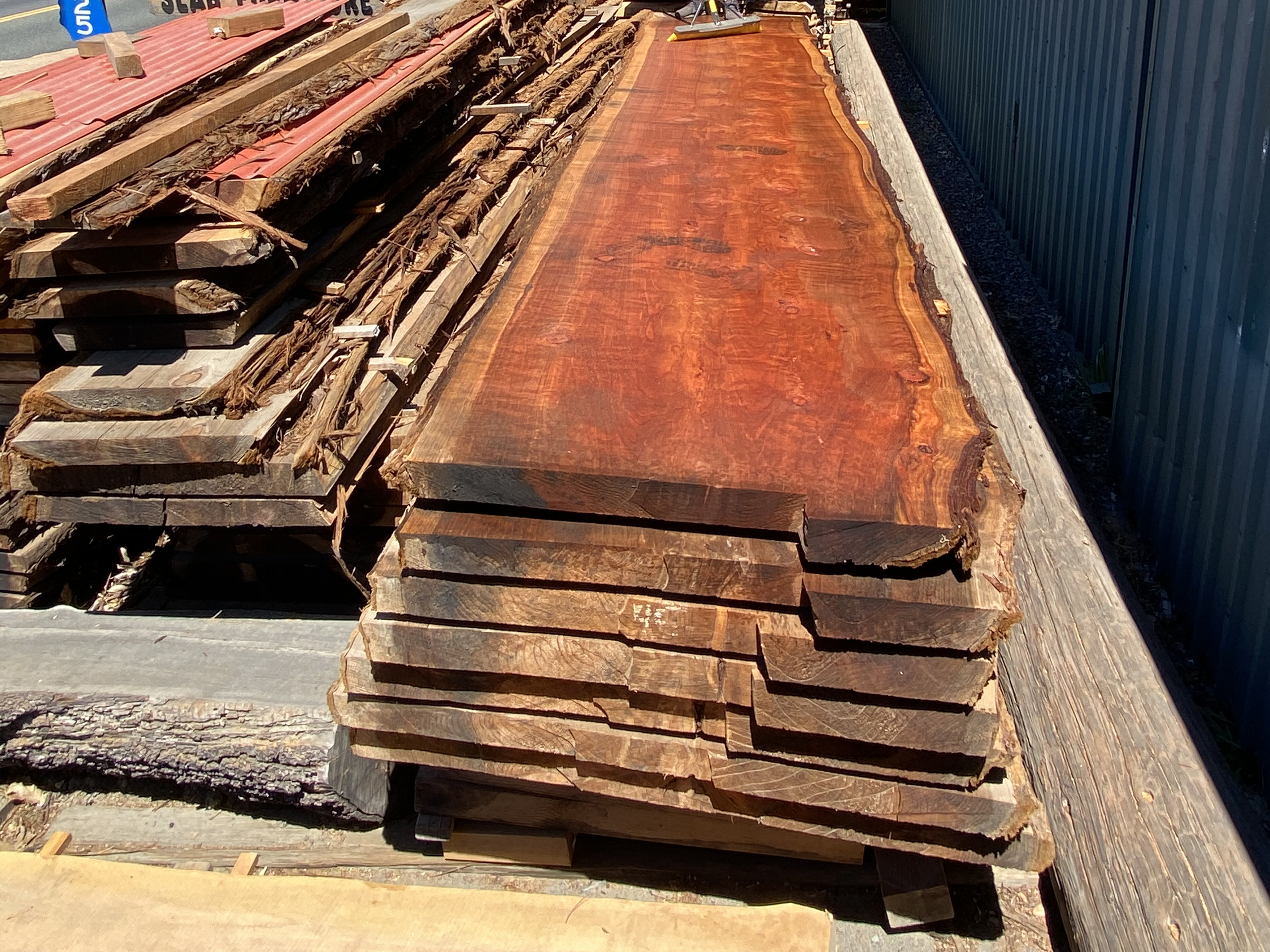 Eric Christopher Art - Live Edge Wood Slabs in Sebastopol, CA (4)