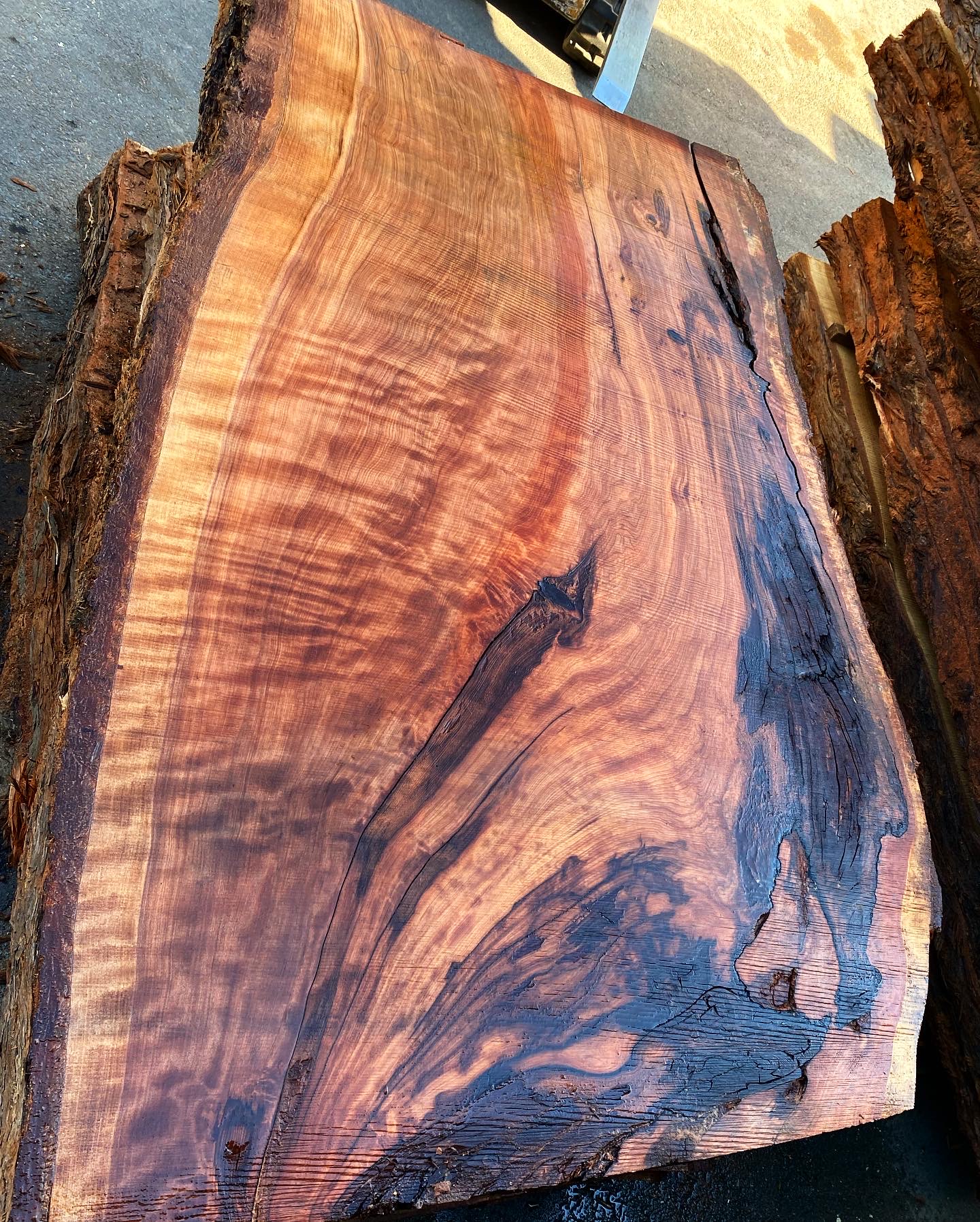 Eric Christopher Art - Live Edge Wood Slabs in Sebastopol, CA (5)