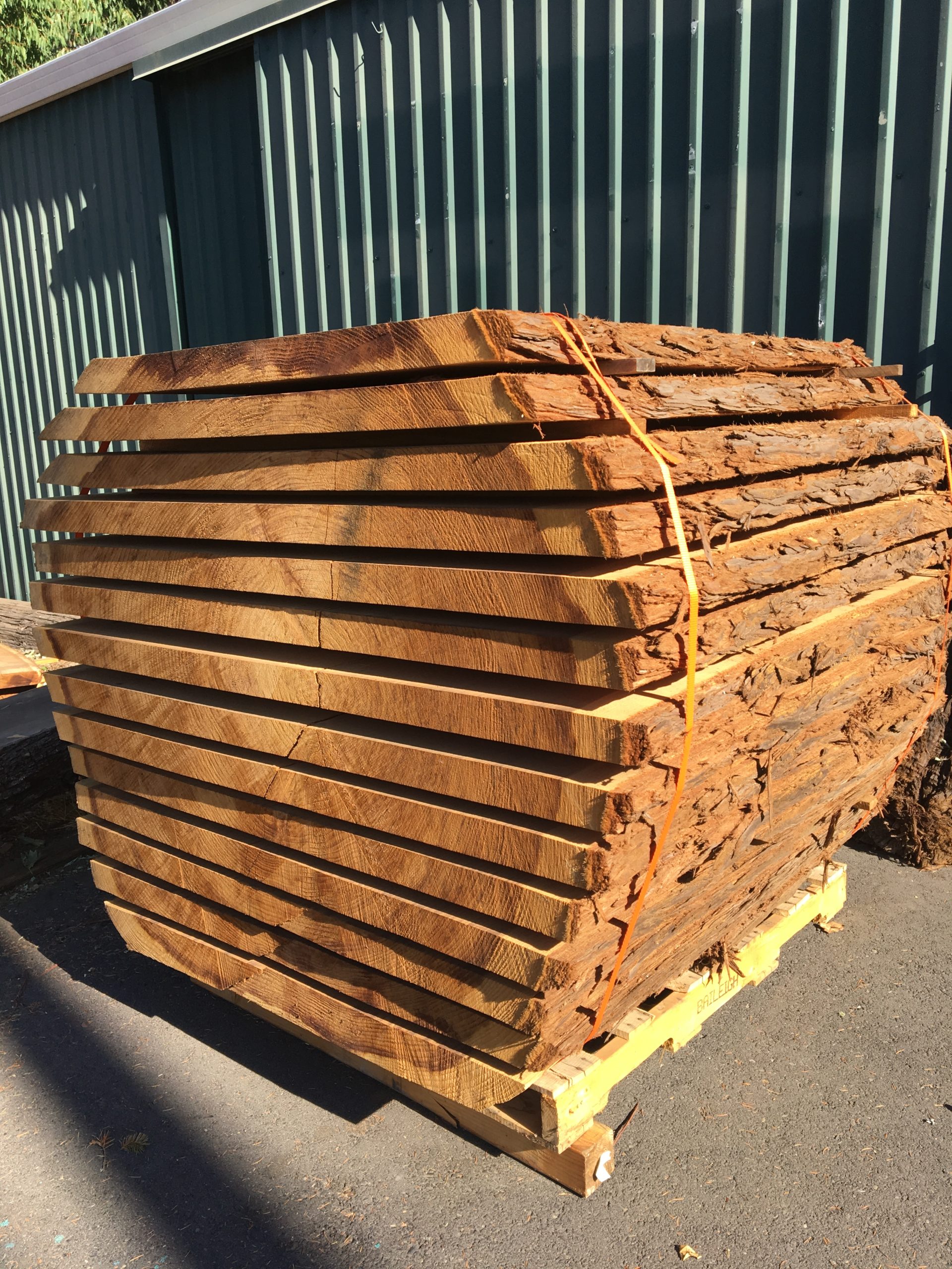 Eric Christopher Art - Live Edge Wood Slabs in Sebastopol, CA (6)