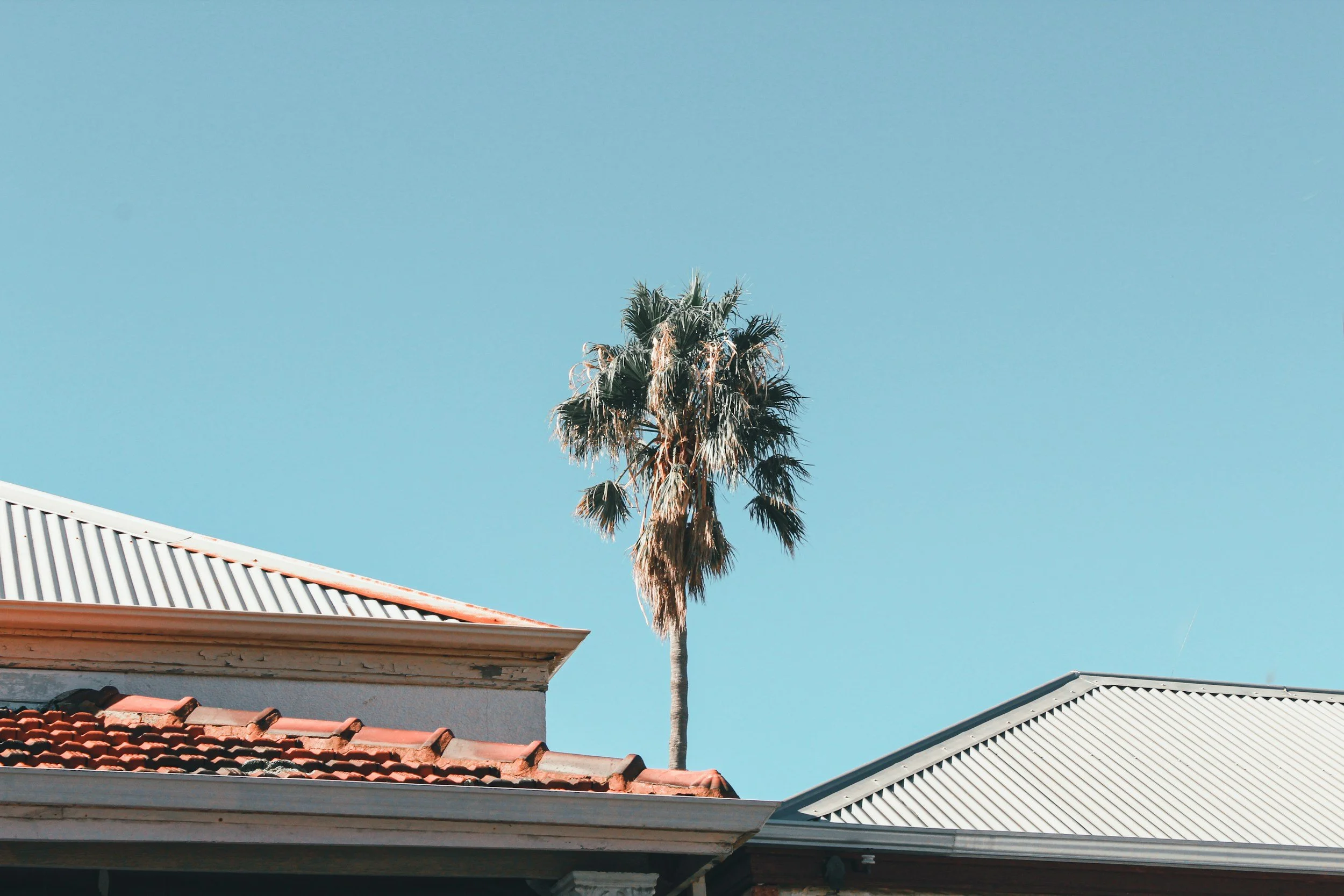 Mi Salon in Santa Barbara, CA (3)